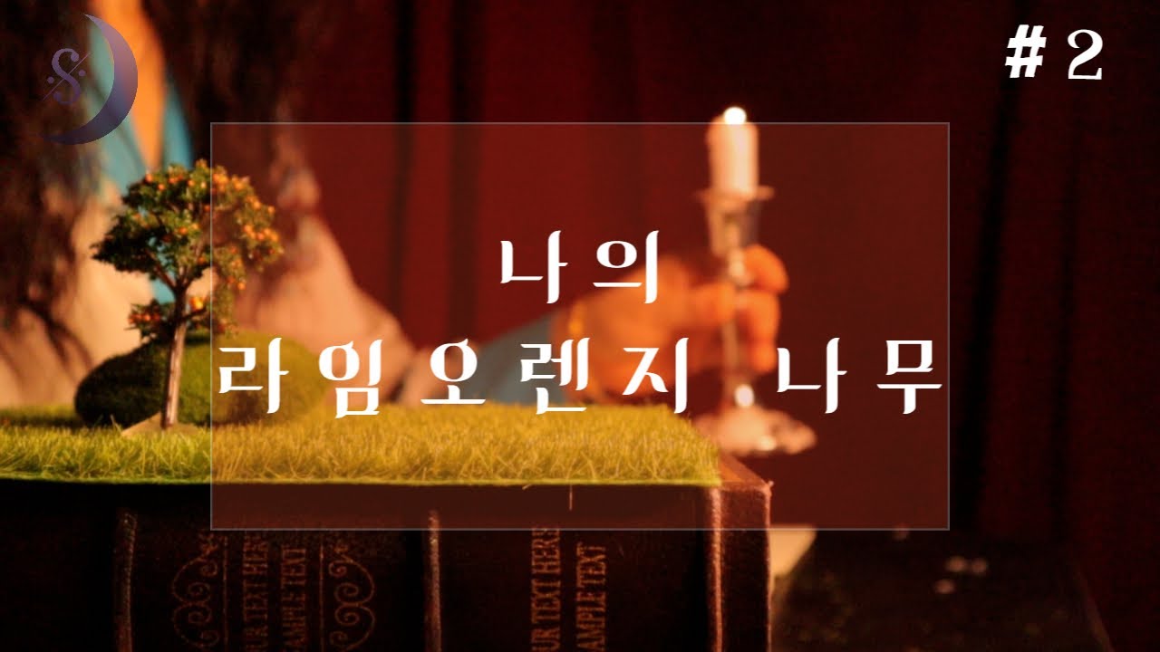 나의라임오렌지나무 2부/아기예수는 슬픔 속에서 태어났다/ASMR
