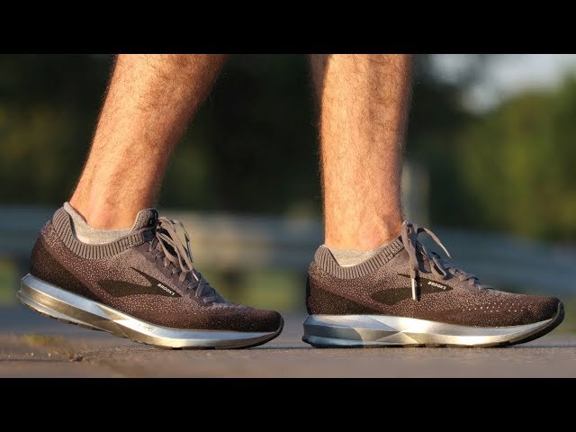 shoes similar to brooks levitate 2