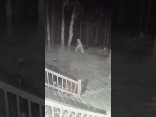 Vídeo relacionado con Logotipo oficial del equipo de investigación Cryptid Fresno Nightcrawler Sudadera con Capucha