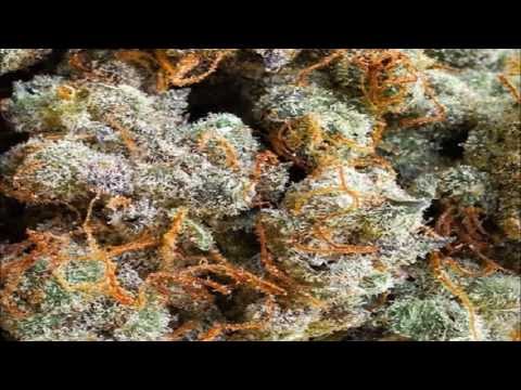 Inna Vision - By The River HD