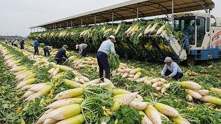 Agricultores Japoneses Colhem 7.315 Toneladas de Frutas e Vegetais por Hora com Estas Máquinas