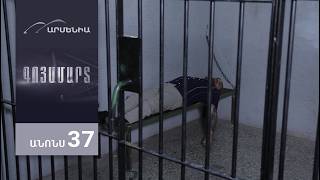 Գոյամարտ, Սերիա 37, Անոնս / Goyamart