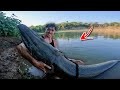 The Biggest Fish You Have Ever Seen INSANE