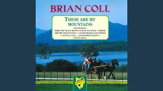 Petal From A Faded Rose