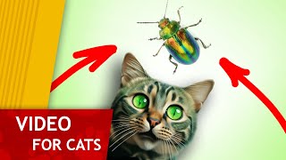 🙀 Cat Games - 🪲 Get that Beetle! (Video for Cats to watch) 4K