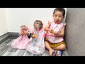 Monkey Kaka + Diem and Monkey Mit: The Ultimate Cuteness in Bibs!