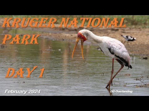Kruger National Park - February 2024 - Day 1 - DG Overlanding