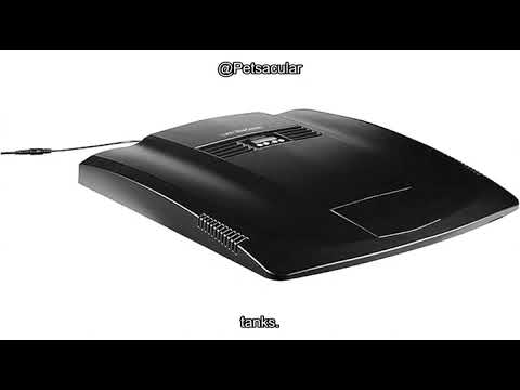 Coralife BioCube LED Replacement Lid Review: Worth the Upgrade for Your Aquarium?