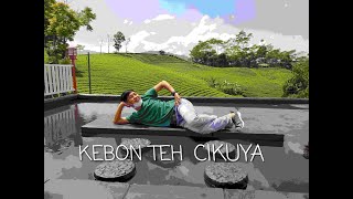 Download lagu Kebon Teh Cikuya - Kabupaten Lebak || MFVLOG #2 mp3 Download lagu Kebon Teh Cikuya - Kabupaten Lebak || MFVLOG #2 mp3