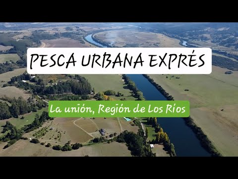 FARIOS BRiGIDAS | CORTOMETRAJE DE PESCA | LA UNIÓN, REGIÓN DE LOS RÍOS | BAITCASTING UL 
