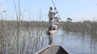 preview picture of video 'Botswana Safari Film Trip - Photos of Africa'
