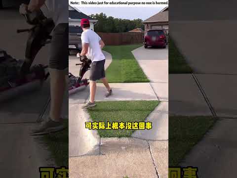 世界上最有名的草坪 (@TheLawnTools)