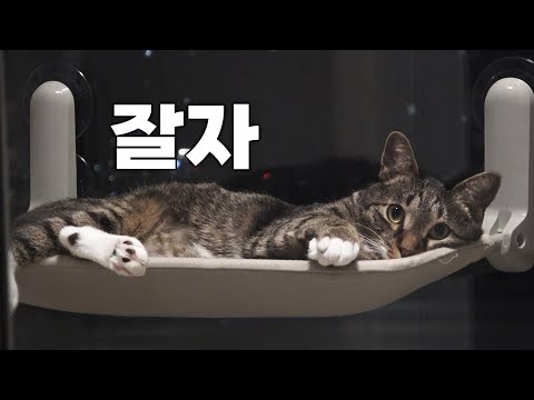 각방은 섭섭해..