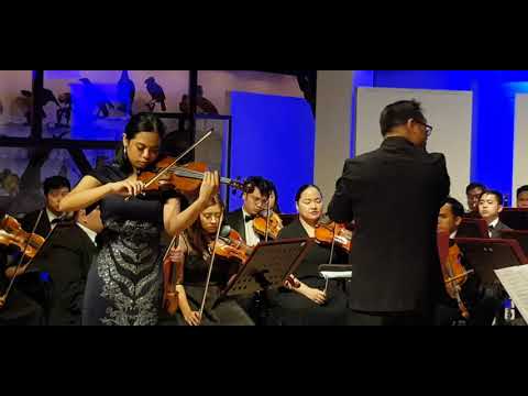 Sibelius Violin Concerto (Second Movement)