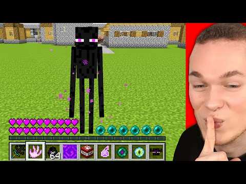 24H ALS ENDERMAN LEBEN in Minecraft!