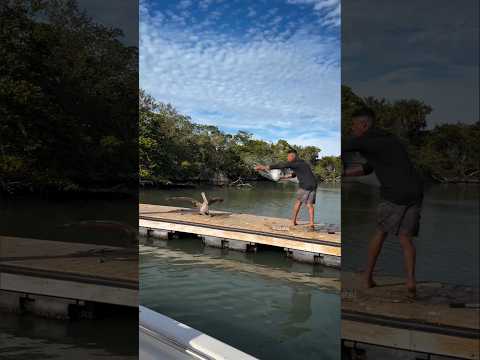 This boy caught this duck instead of a fish |#shortvideo