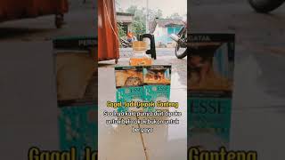 Download lagu Story WhatsApp Story WhatsApp || Gagal jadi ganteng kalau punya duit buat beli rokok bukan buat gaya mp3