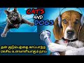 கலகலப்பான காமெடி திரைப்படம் TVO Tamil Voice Over T