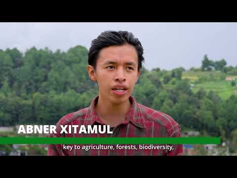 El Legado de las Abejas: Apicultura Ancestral en Sololá | MDE Guatemala