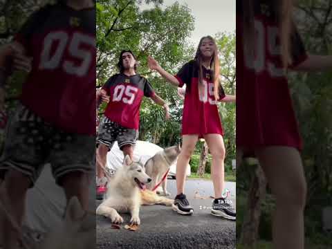 His And Hers with Carlos Agassi and the Huskies