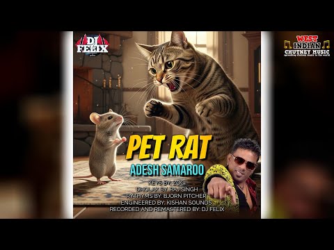 Adesh Samaroo - Pet Rat [Live Remastered] (2025 Traditional Chutney)