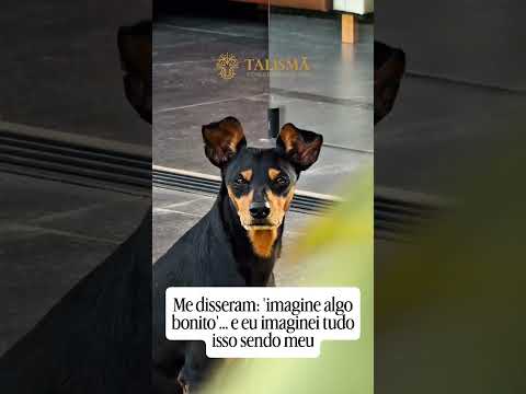 CASA EXCLUSIVA À VENDA | RESIDENCIAL PRIMAVERA – SALTO/SP #indaiatuba #imoveisvenda #casa