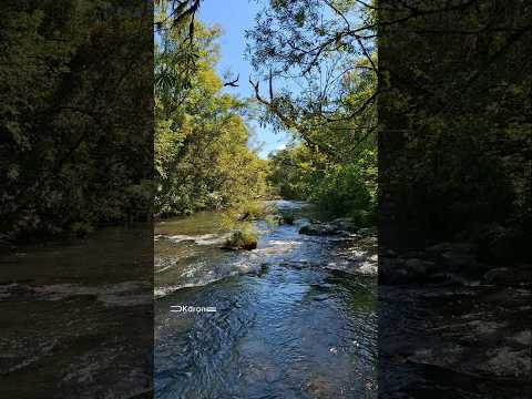 📍Parada técnica en Alvear, refrescar y seguir 😁 #misiones #airelibre #motovlog #arroyos arroyo