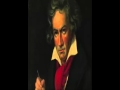 Beethoven - Symphony No. 5 (1 hour)