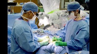 University of Kentucky Plastic Surgery Residency