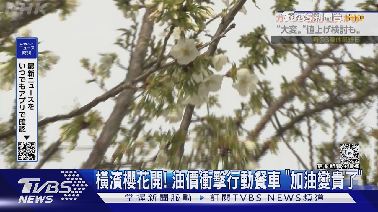 影音/橫濱櫻花開了!油價衝擊行動餐車 「每次加油都變更貴」