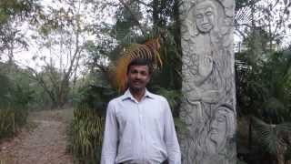 Use daylight , Naturally cooled Air and Rain Water