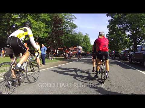 download lagu mp3 mp4 Dalmac, download mp3 Dalmac free download mp3, download mp3 Dalmac