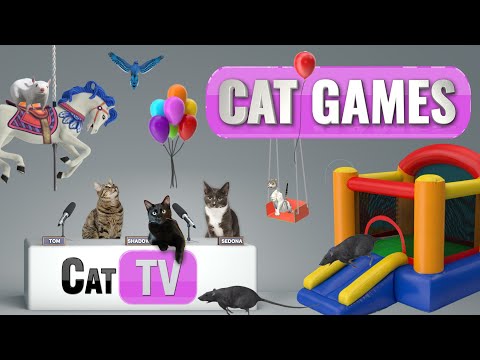 Adventure Purrk: Feline Fantasy Playground - Cats, Rats, and So Much More! - YouTube