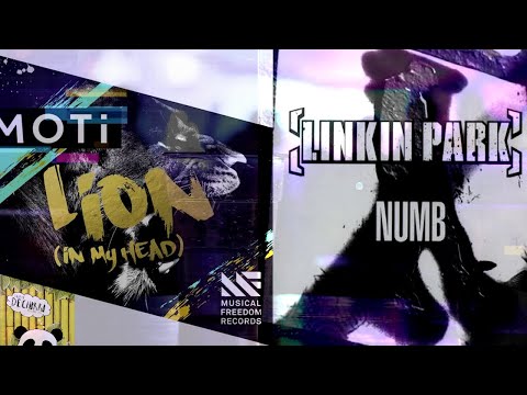 Lion vs. Numb vs. Right On Time vs. Dechorro (MOTi Mashup)