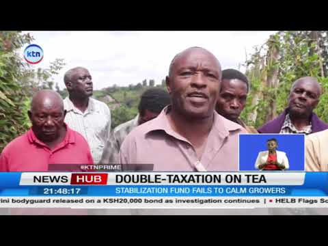 Kiambu tea farmers reject new taxes, warn levies could kill tea farming