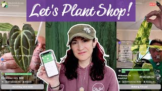 Shopping Live Sales On Palmstreet (PlantStory) + Wishlist Plant Unboxing