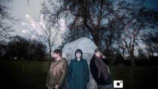 Dear Reader - Never Goes