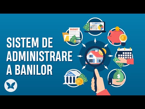 💻 Sistem de administrare a banilor | Educatie Financiara | Efectul Fluturelui