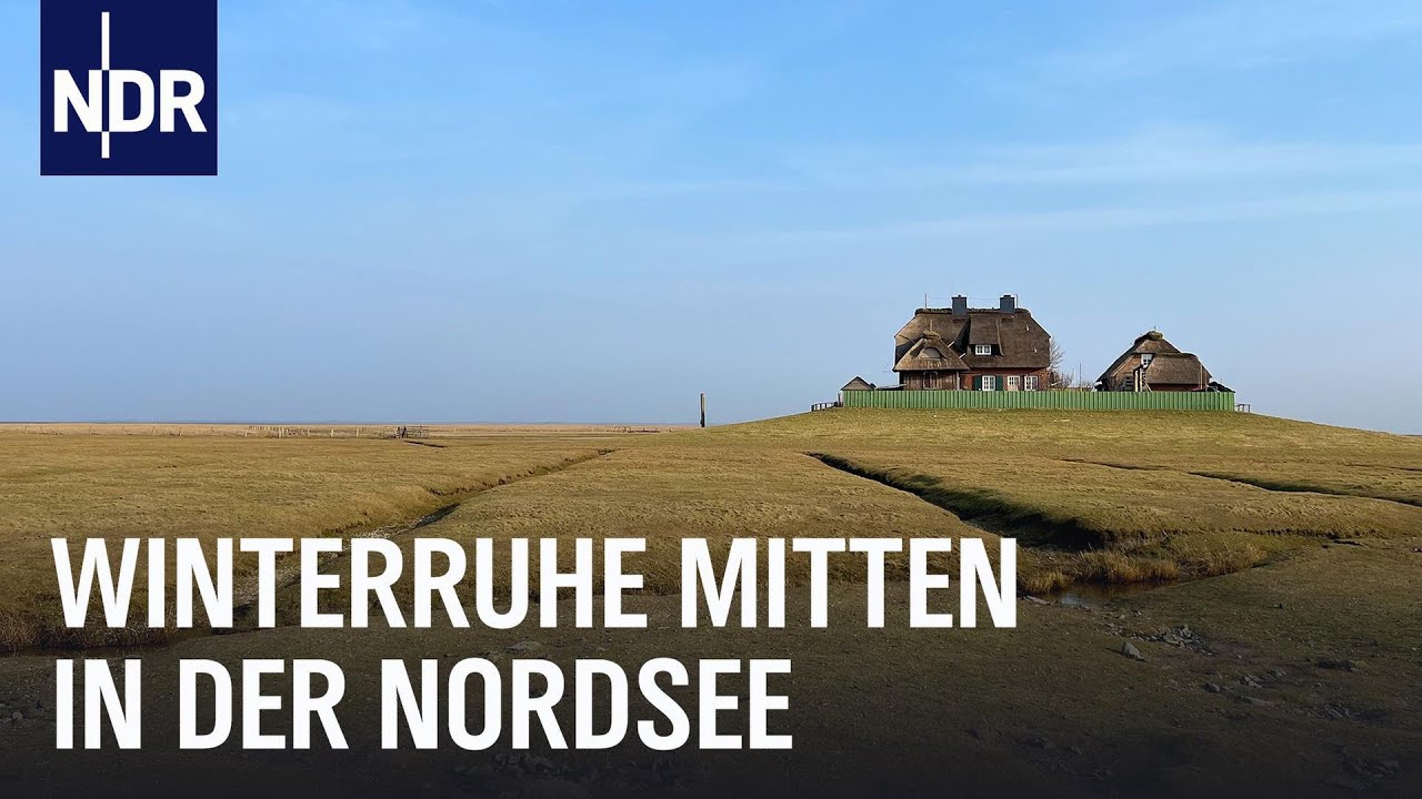 Friesenwinter auf den Halligen | Nordseereport | NDR Doku