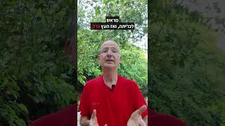 מי אמר שכסף לא גדל על העצים?