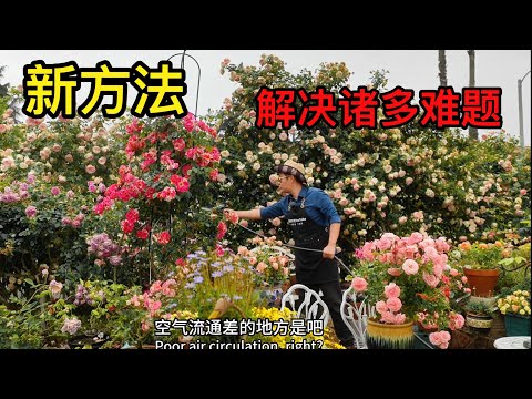 新方法浇水肥 打造植物乐园 新方法解决诸多难题！园艺篇629