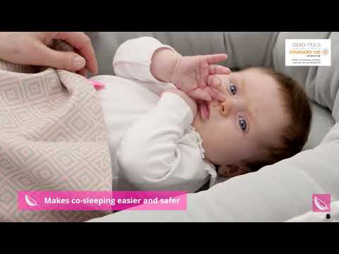 Motherhood bērnu ligzdiņa un spilvens-pakavs 2in1 Pink Zebra