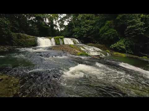 Rainforest sounds | Beautiful nature sounds | Relaxing, meditation, study