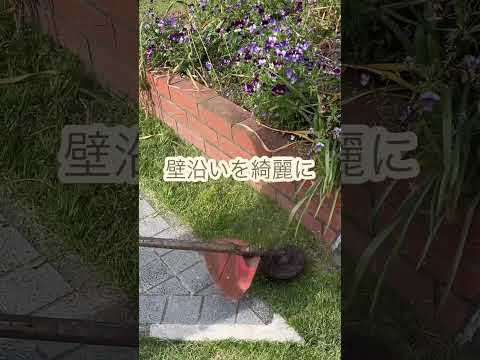 日曜日の草刈りは禁止ですか？規制には何と記載されていますか?芝生の手入れはいつ行うべきですか?  庭園