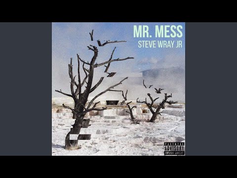 Mr. Mess