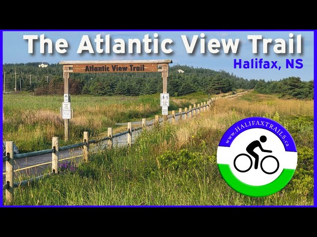 Trail Video Preview