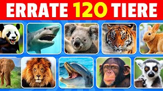 Errate 120 Tiere in 3 Sekunden | Einfach, Mittel, Schwer, Unmöglich