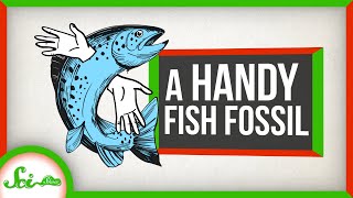 A Very Handy Fish Fossil