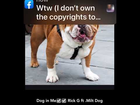 Dog in Me.. Rick G  ft Milt dog