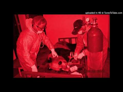 FREESTYLE - PANDA DI$$